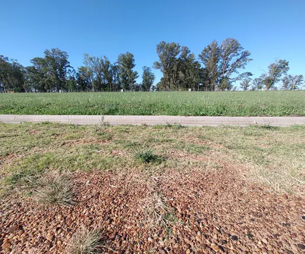 Terreno Adelina Norte Echazarreta propiedades