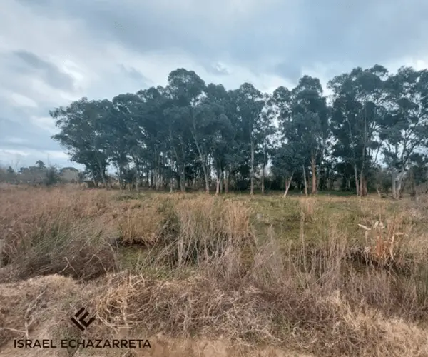 Chacra Villa Paranacito Echazarreta Propiedades