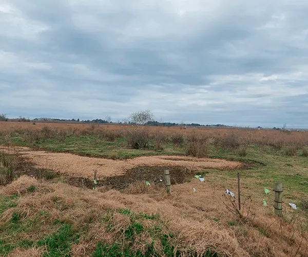 Chacra Villa Paranacito Echazarreta Propiedades