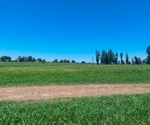 Terreno en Prados de la Adelina Echazarreta Propiedades